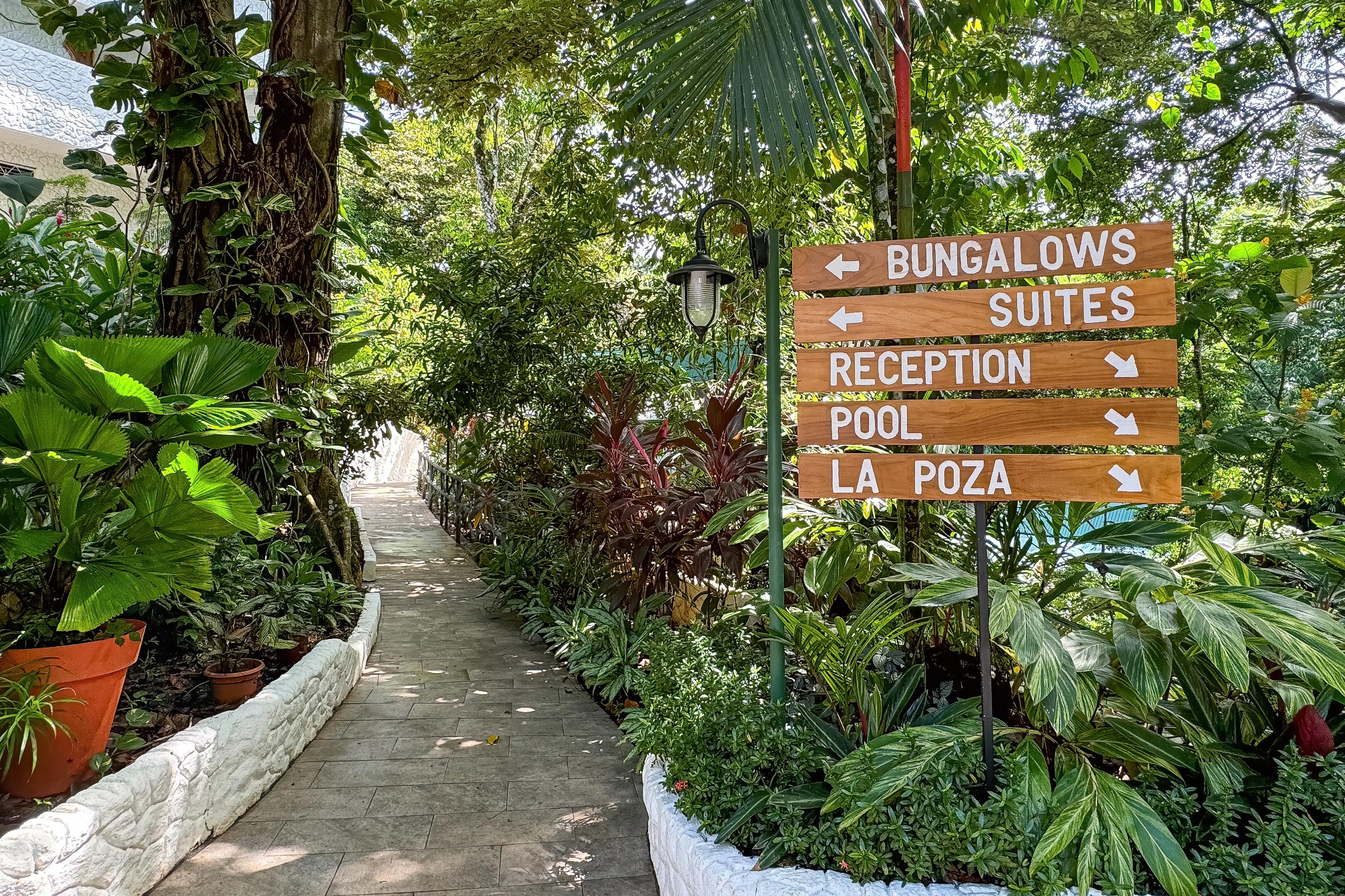 Ecotica Boutique Hotel (Adults Only) Manuel Antonio Exterior photo