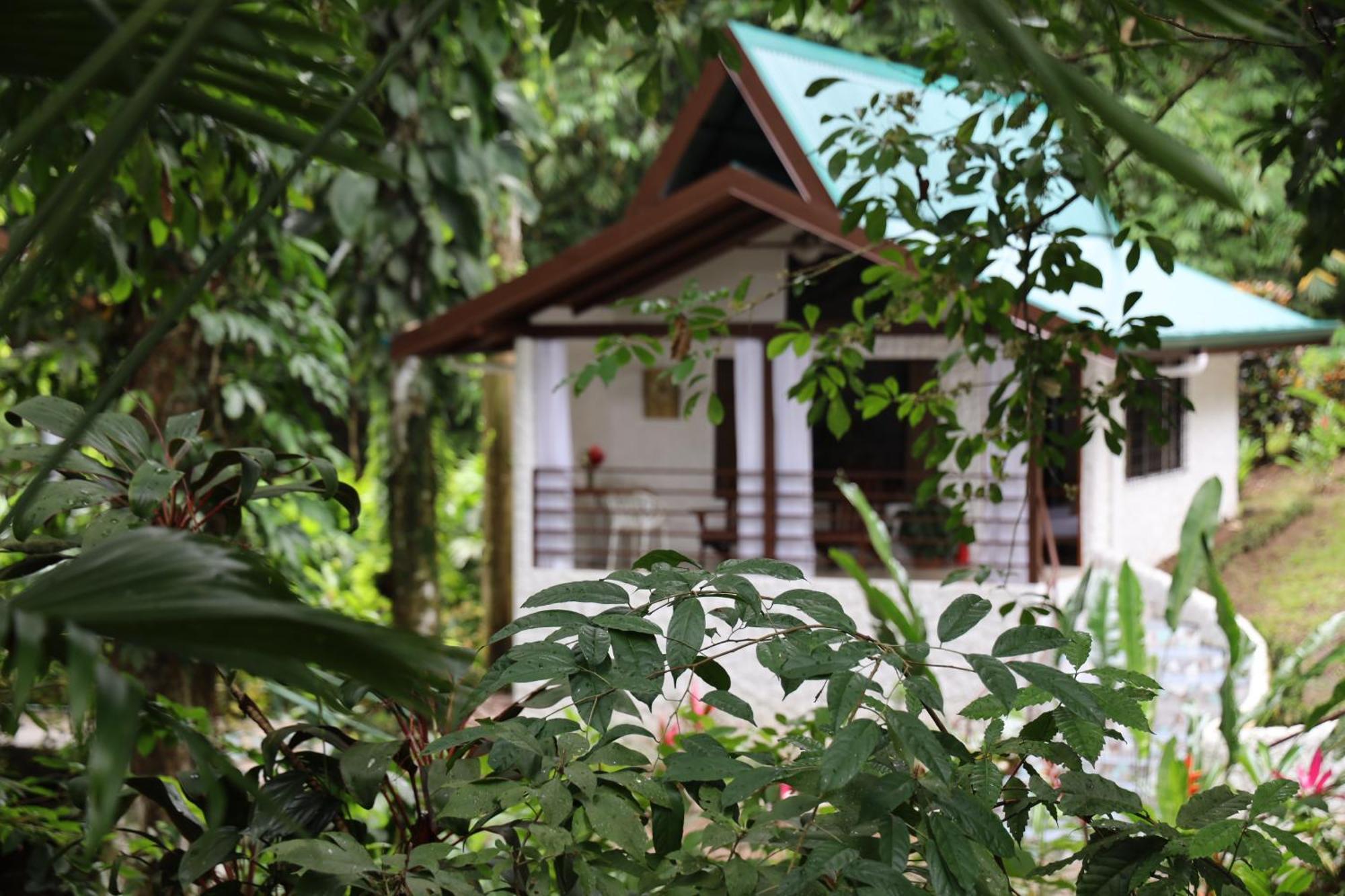 Ecotica Boutique Hotel (Adults Only) Manuel Antonio Exterior photo